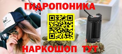 Альфа ПВП Будённовск