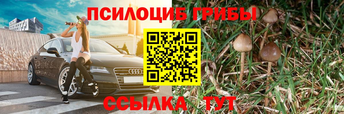 Самара  Псилоцибиновые грибы Cubensis  Вход с VPN 