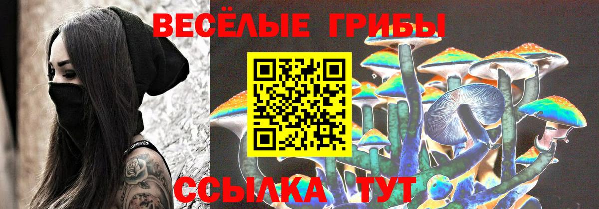 Псилоцибиновые грибы Cubensis Самара
